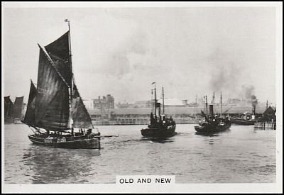 1939 Senior Service Coastwise Large